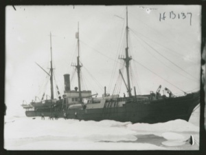 Image: S.S. Thetis in ice pack